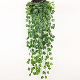 Plantas Decorativas-4Evah Young