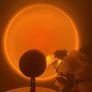 Luz Projetora Halo-4Evah Young