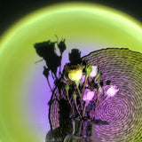 Luz Projetora Halo-4Evah Young