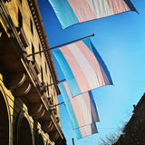 Bandeira Transgenero Pride-4Evah Young